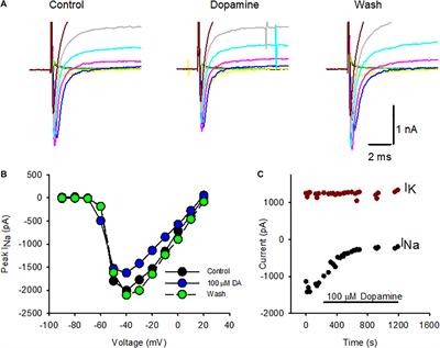 Dopaminergic Inhibition of Na+ Currents in Vestibular Inner Ear Afferents